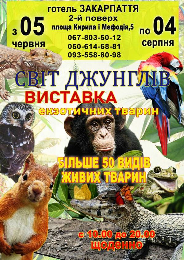 Світ джунглів. Виставка екзотичних тварин.